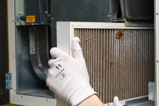 Best Home Air Vent Cleaning  in Gallatin, TN